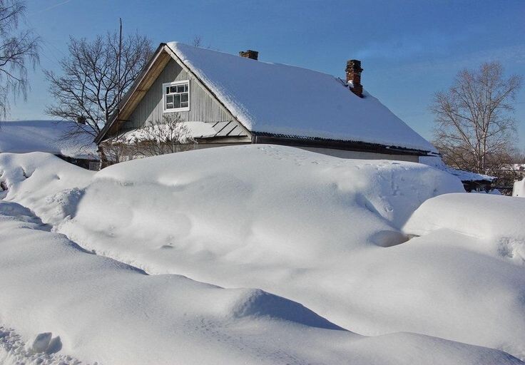 картинка из интернета