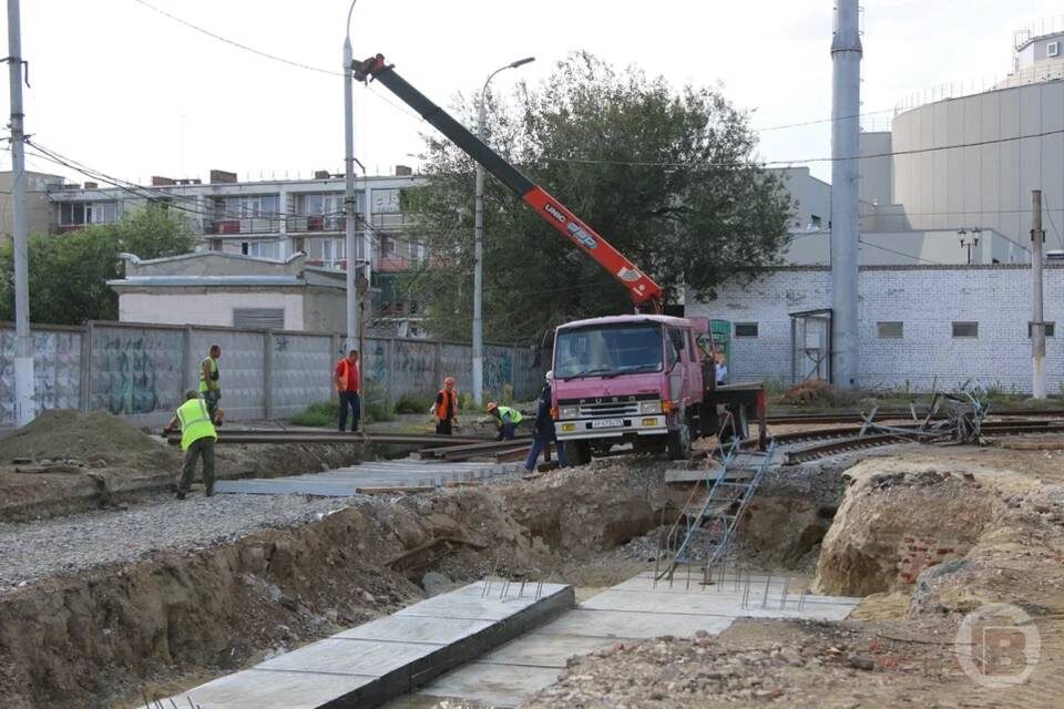    Фото: Матвей Горбунов / "Городские вести"