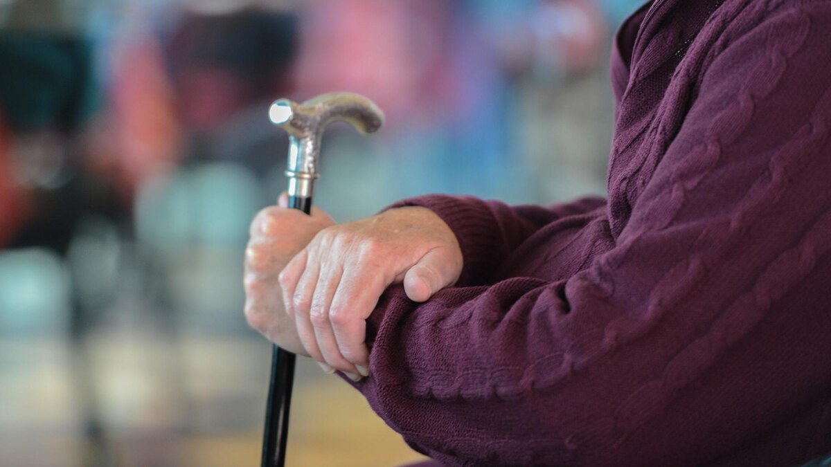    Фото: Winfried Rothermel/globallookpress.com