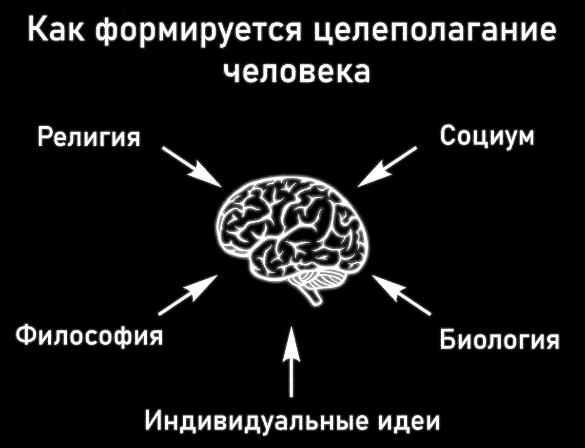 Как формируется целеполагание человека