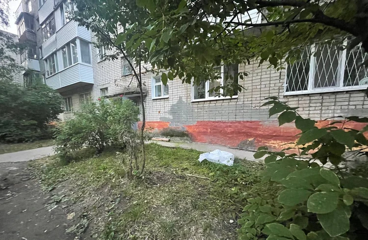 Место, где нашли тело новорожденного ребенка. Фото: Прокуратура Пермского края