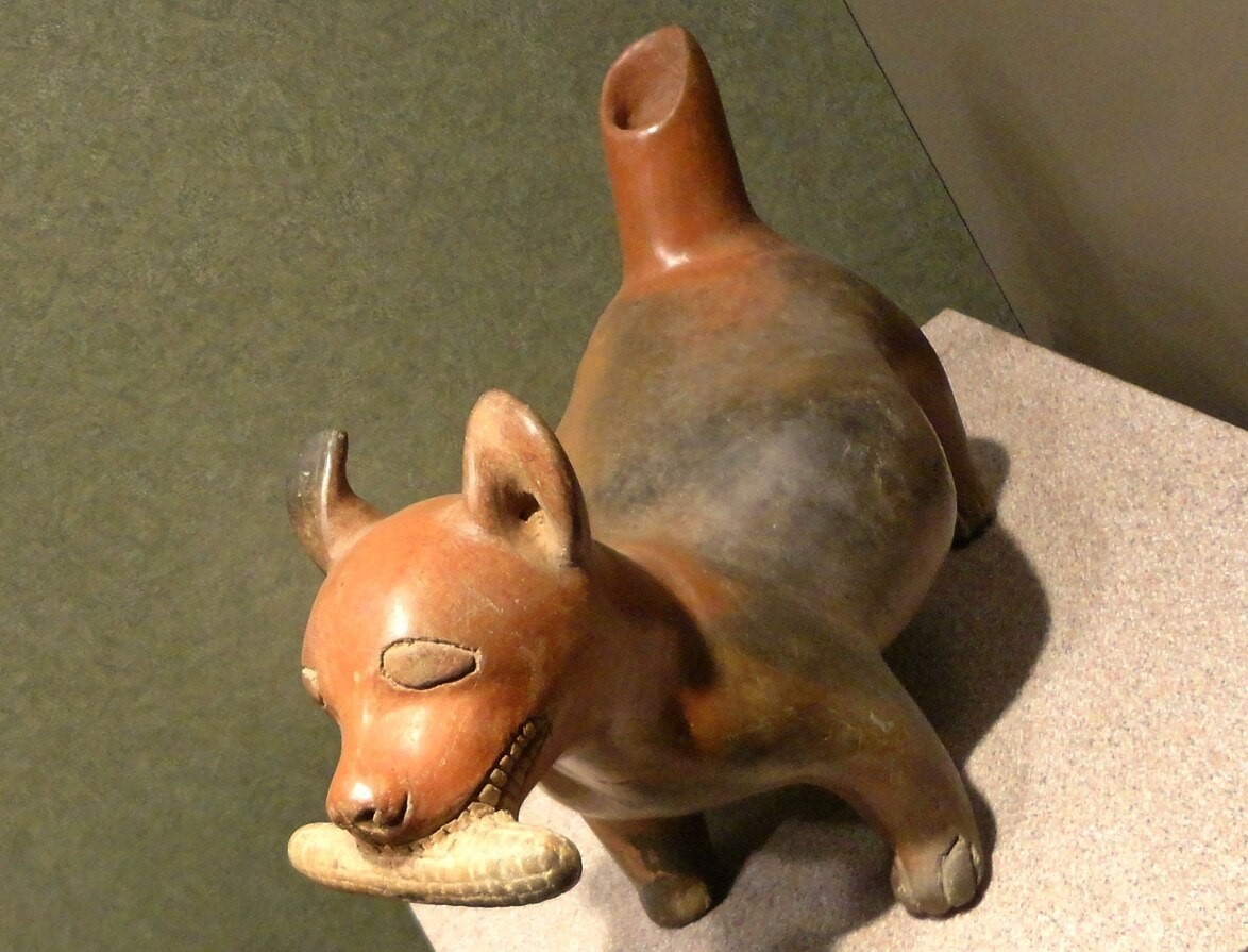 Собака течичи. Национальный музей антропологии в Мехико.