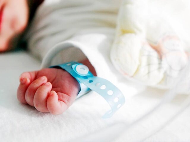    Фото: 123RF/nenovbrothers