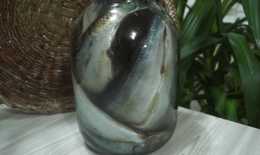 Селёдку в магазине не покупаю, солю сама, по вкусу похожа на рыбку бочкового посола