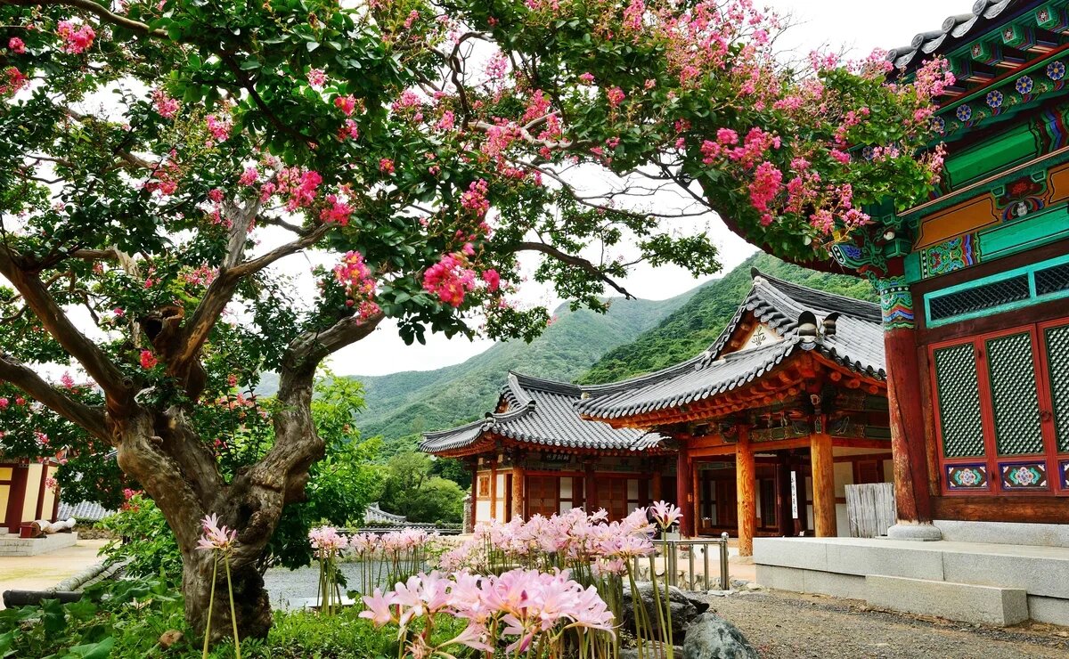    Российский турпоток в Южную Корею вырос на 20,8%