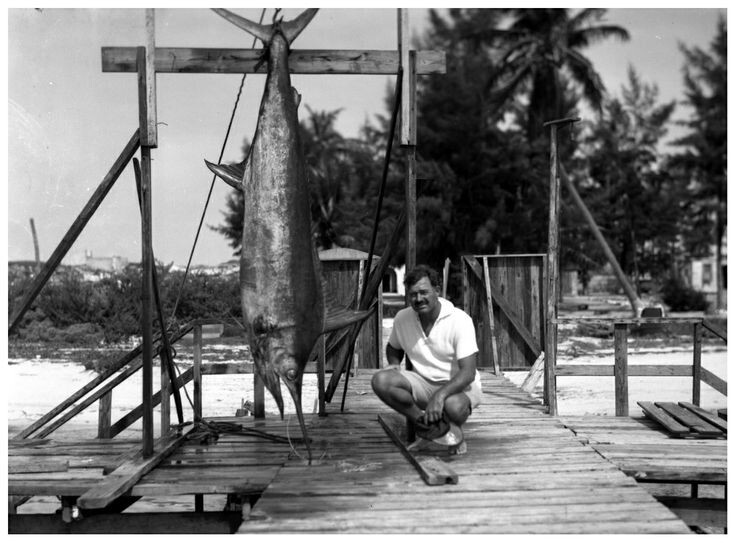 Фотография из свободных источников интернета