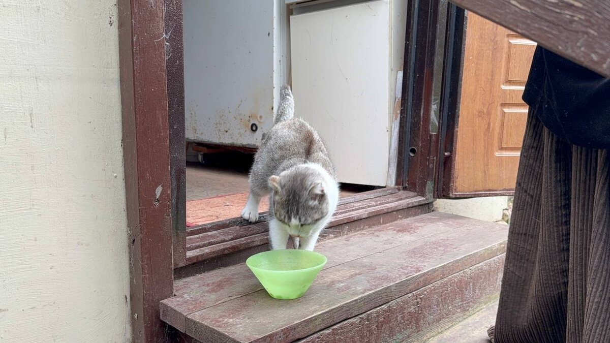 Крыльцо, на котором когда-то кипела жизнь. Фото из архива автора