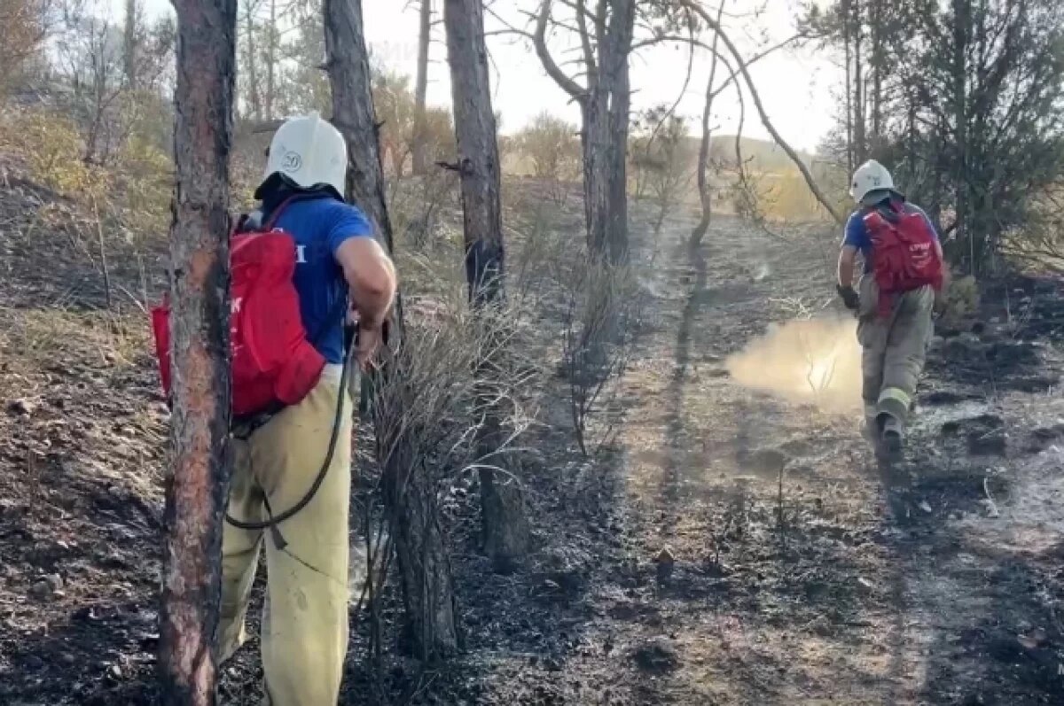    В Судаке лесной пожар тушили 12 часов