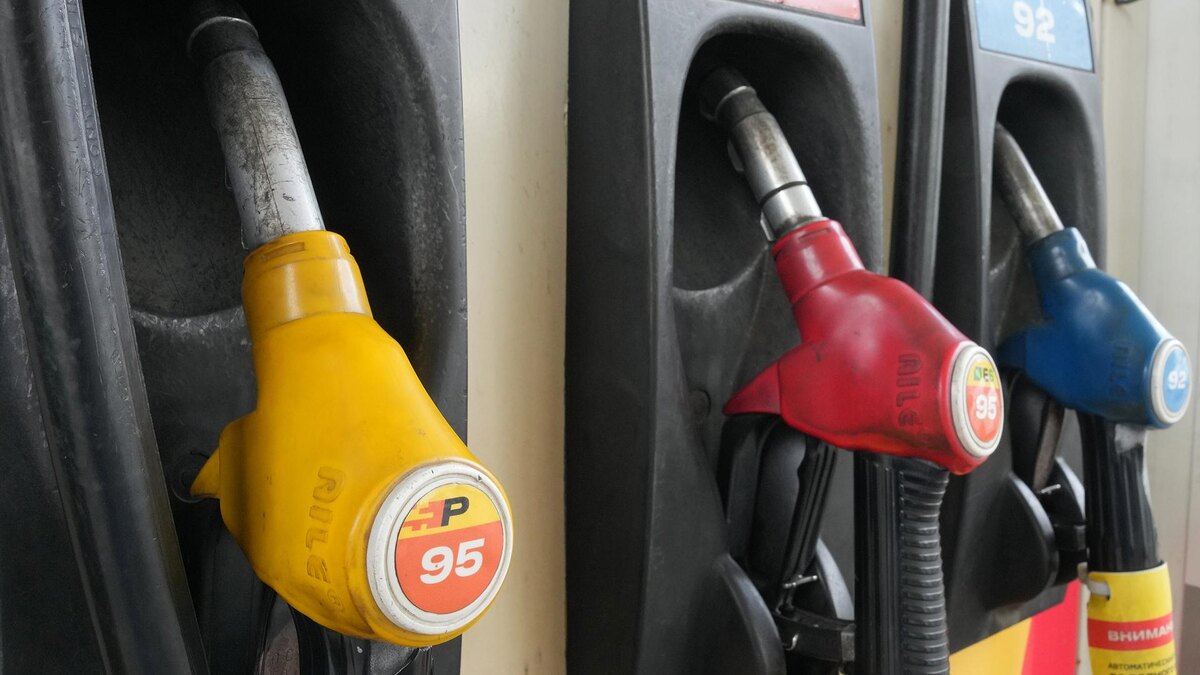    Фото: ИЗВЕСТИЯ/Дмитрий Коротаев