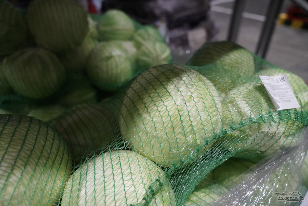    Фото: Лидия Аникина © ИА «Уральский меридиан»