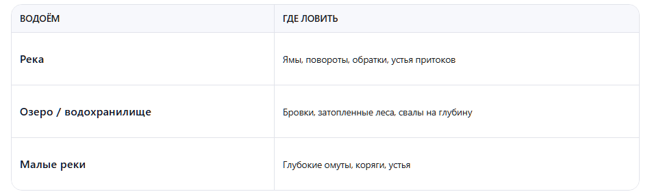 Где искать сома: по типу водоёма