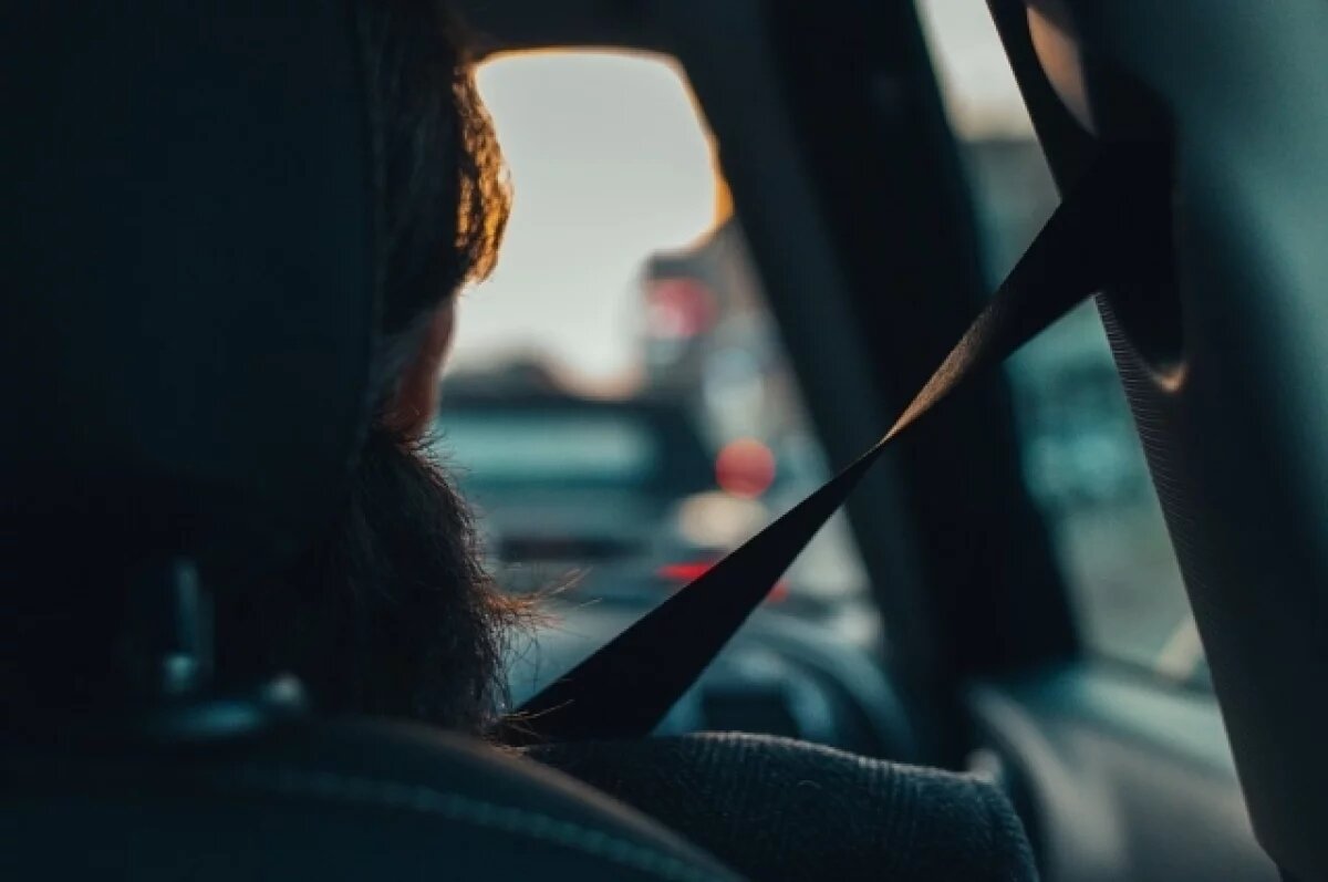    В МВД заявили, что не предлагали вводить спецрасцветку ремней безопасности