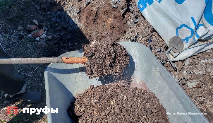    Фото: Пруфы.рф