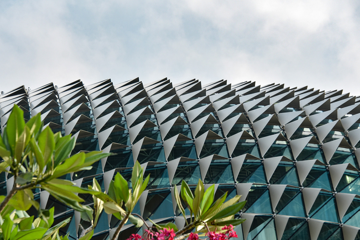 Neelesh Vasnani / Shutterstock / FOTODOM📷Центр исполнительских искусств «Эспланада», Сингапур