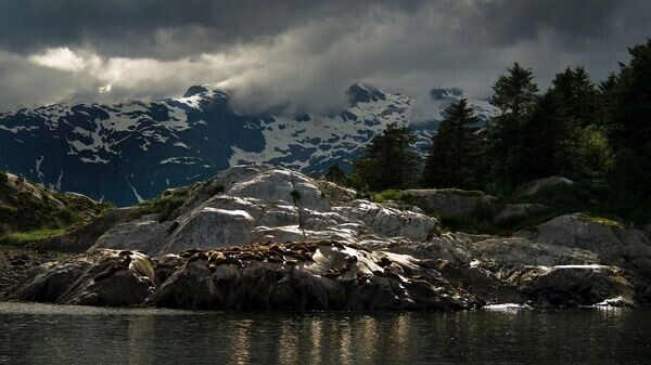    © Фото : CC0, Pixabay