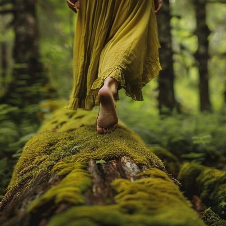 Источник: https://i.pinimg.com/736x/e7/c6/ca/e7c6caf20f680051d07b237048462667.jpg