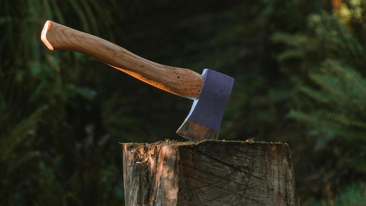    Фото: unsplash.com