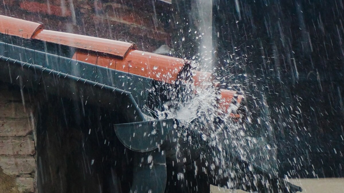    Фото: Spech/Shutterstock/Fotodom