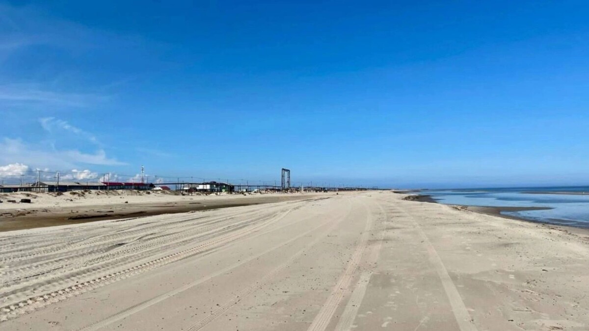    Фото: t.me/yamal_arctic