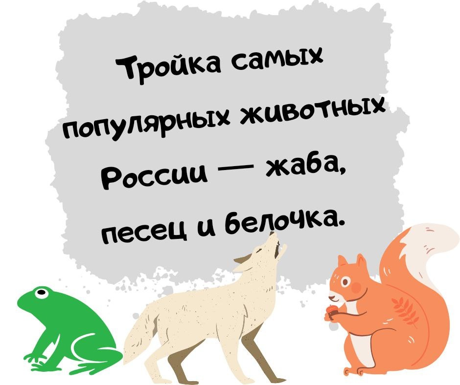 -6