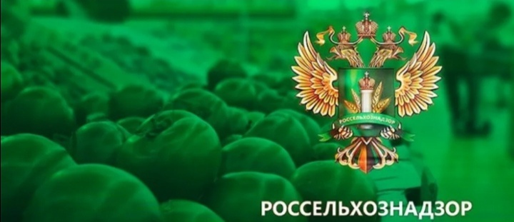 свободный доступ инет