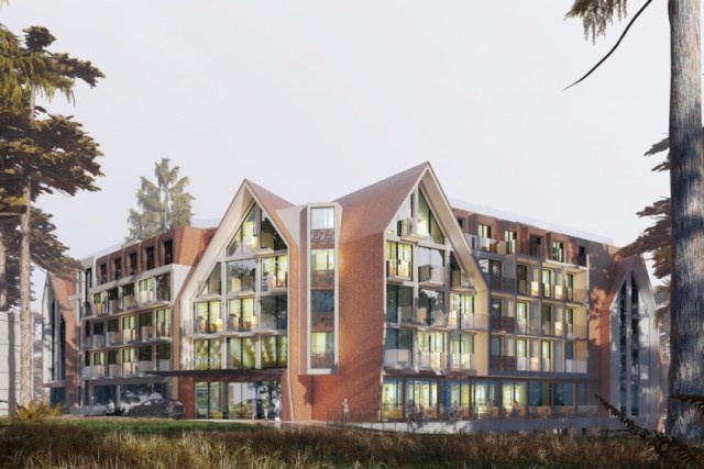   Изображение из презентации проекта