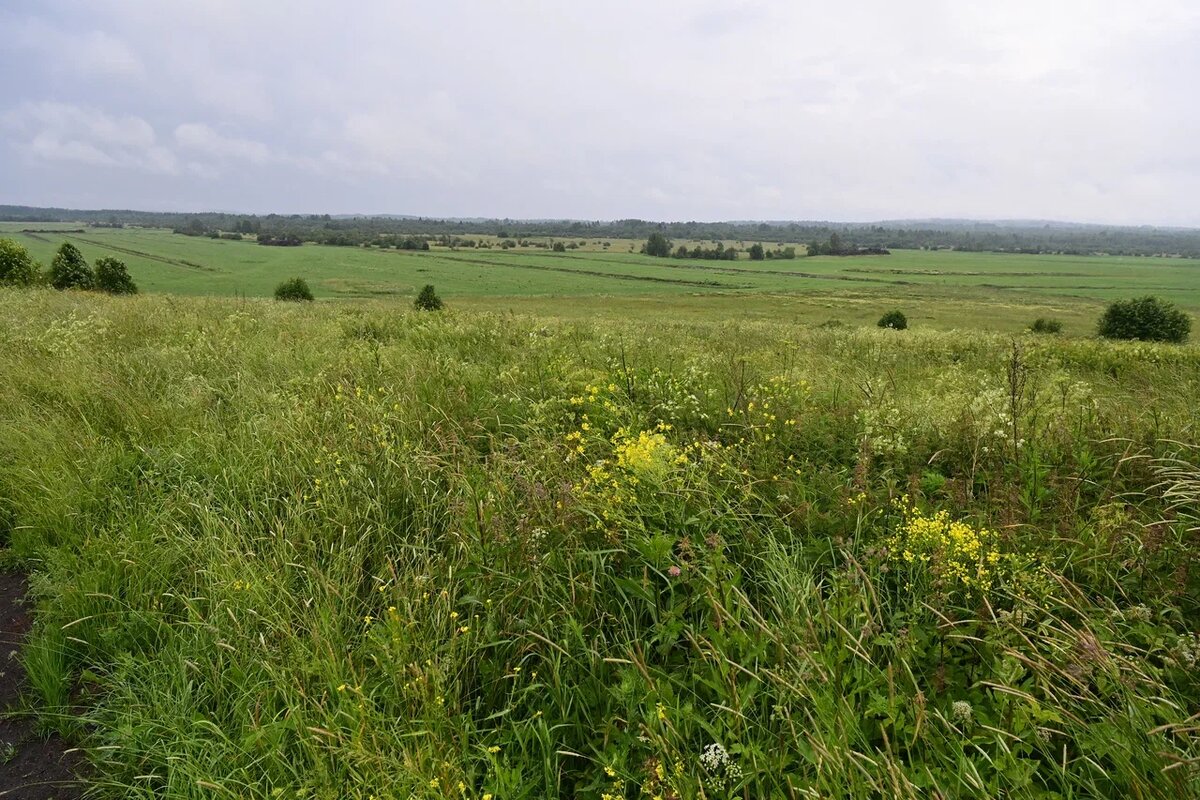    Фото: "Республика"/Сергей Юдин