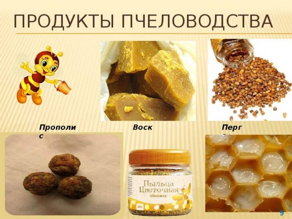 Продукты пчеловодства