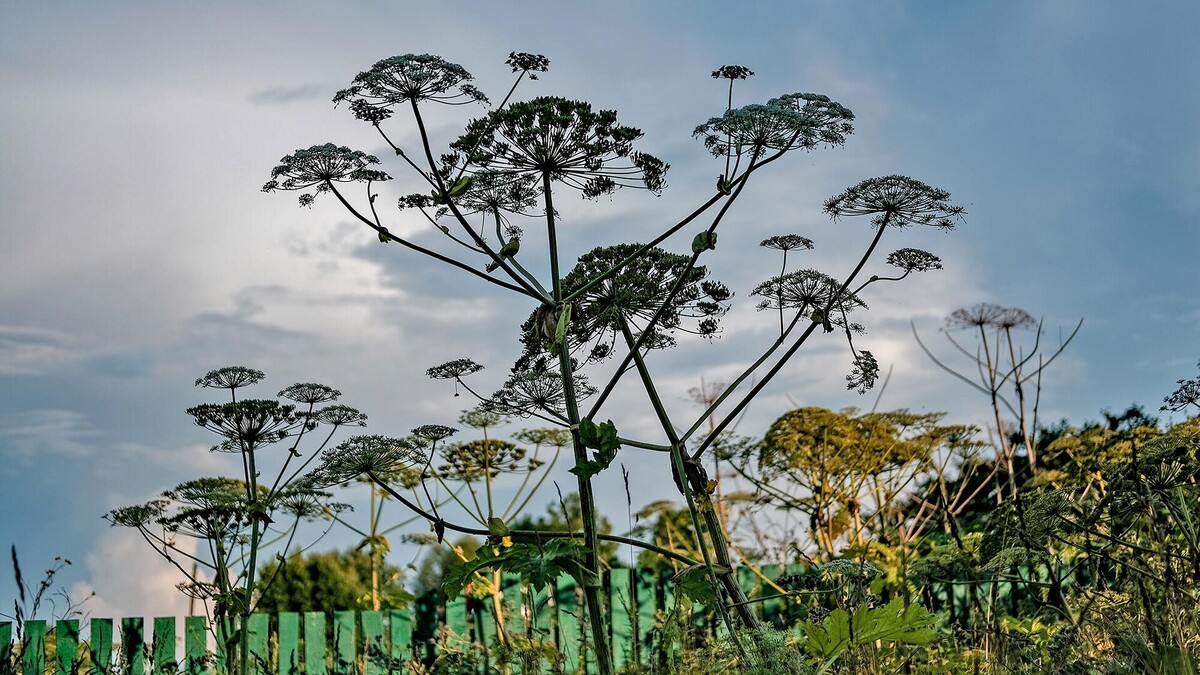Фото: РИА Новости / Александр Вильф