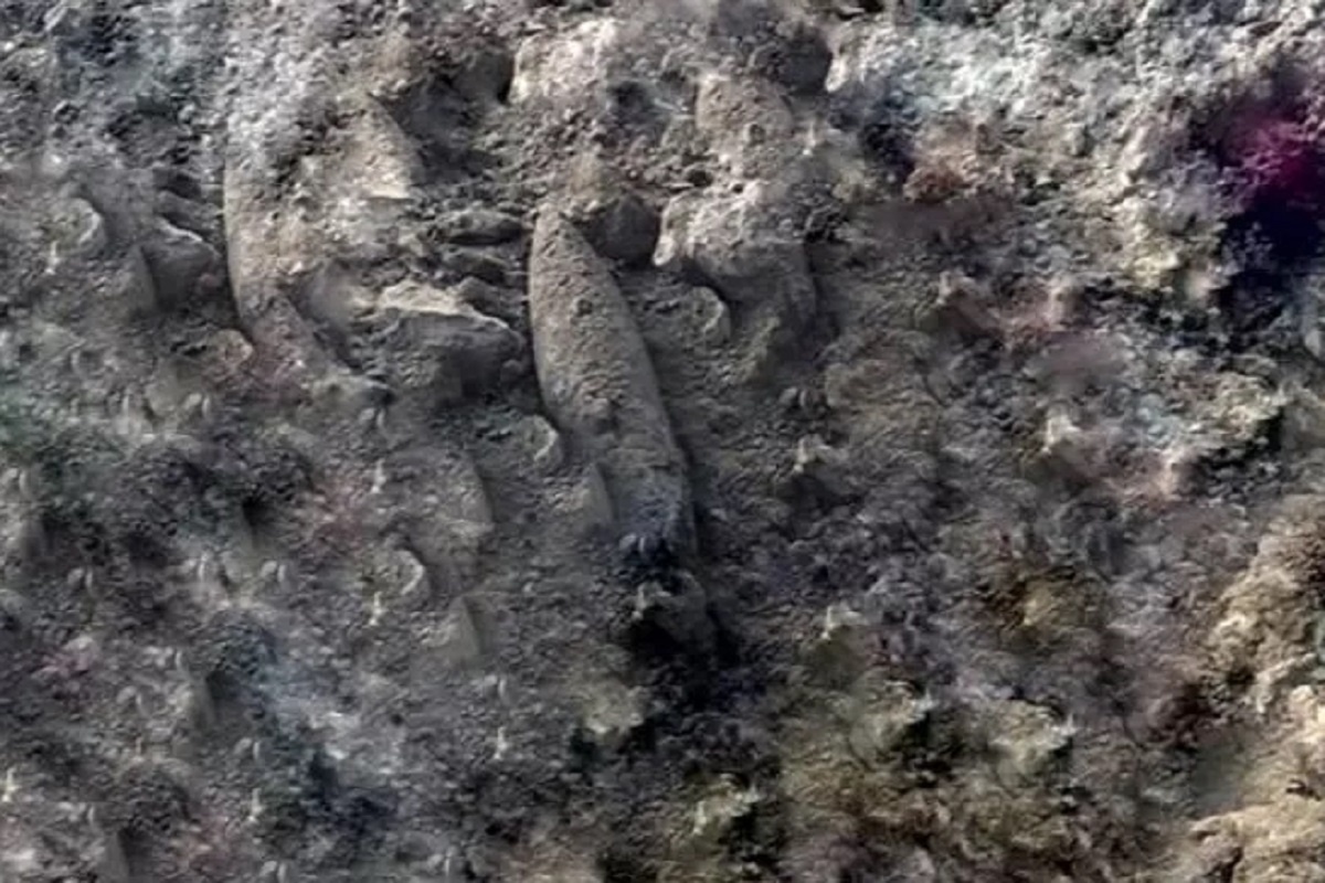    Фото: пресс-служба, Метрострой Северной столицы