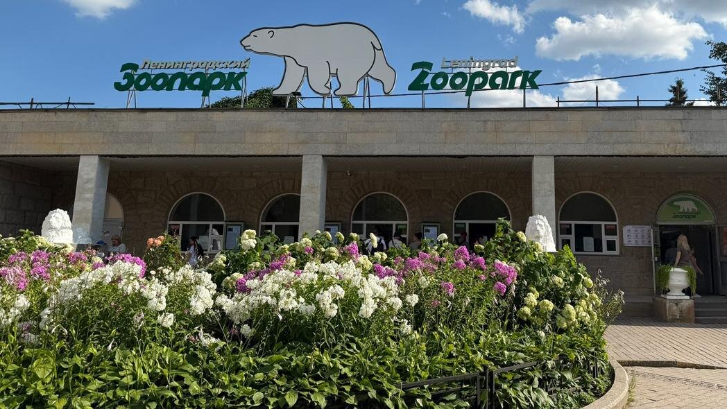    Фото: vk.com/Ленинградский зоопарк