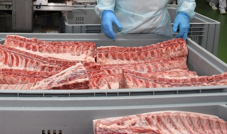     В Курской области оштрафовали предприятие за производство свинины с антибиотиком