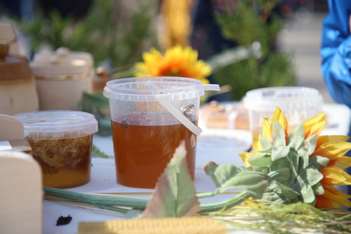 Фото: "Донская газета"