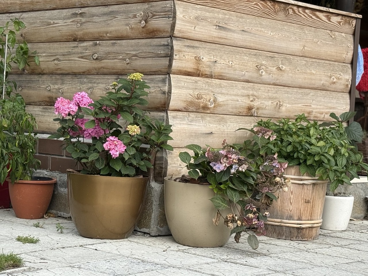 Фото автора канала Дом с кипарисами