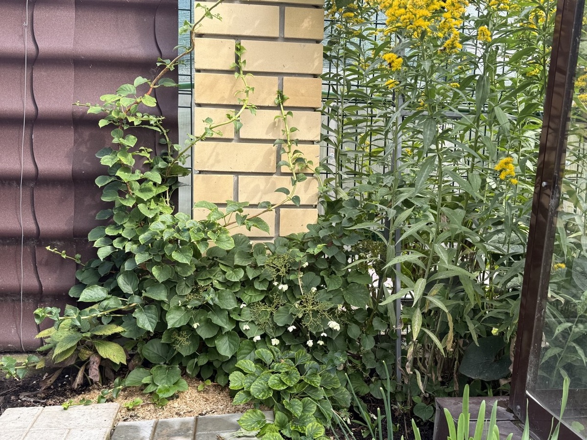 Фото автора канала Дом с кипарисами