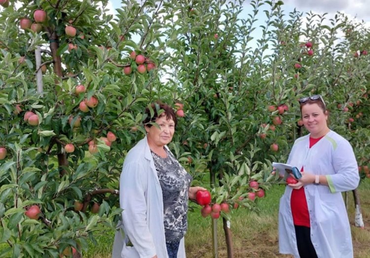    Фото: Филиал Россельхозцентра по Калининградской области