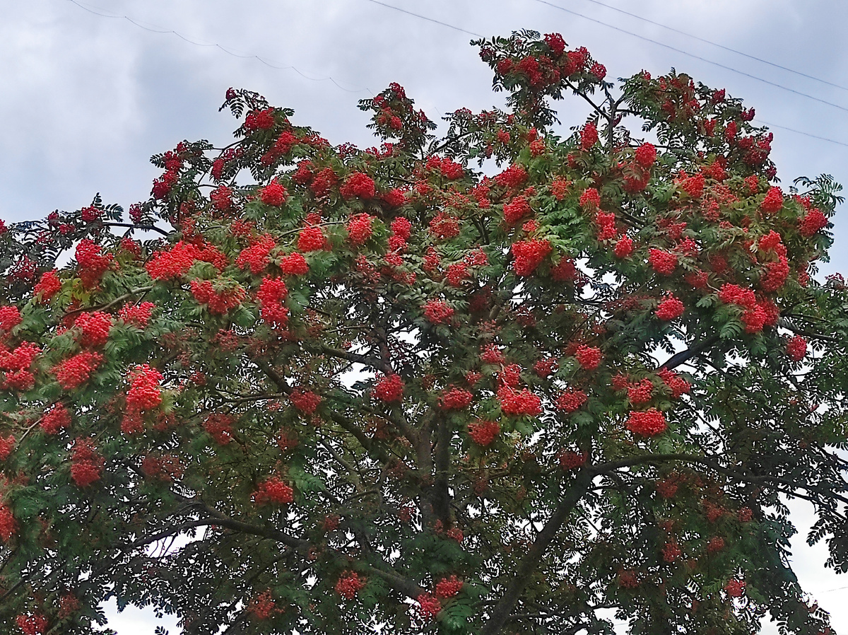 Нет фото)), надо исправить.