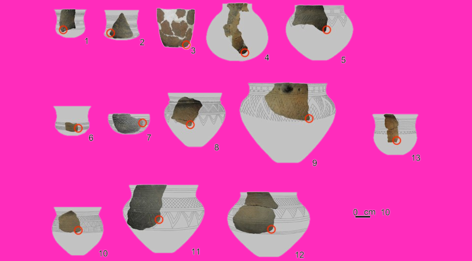   Dariusz Manasterski et al. / Archaeometry, 2025