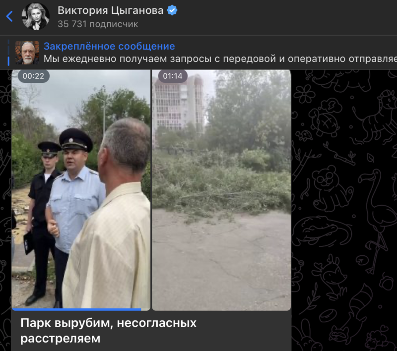    Скриншот: t.me/vika_tsyganova63/6493