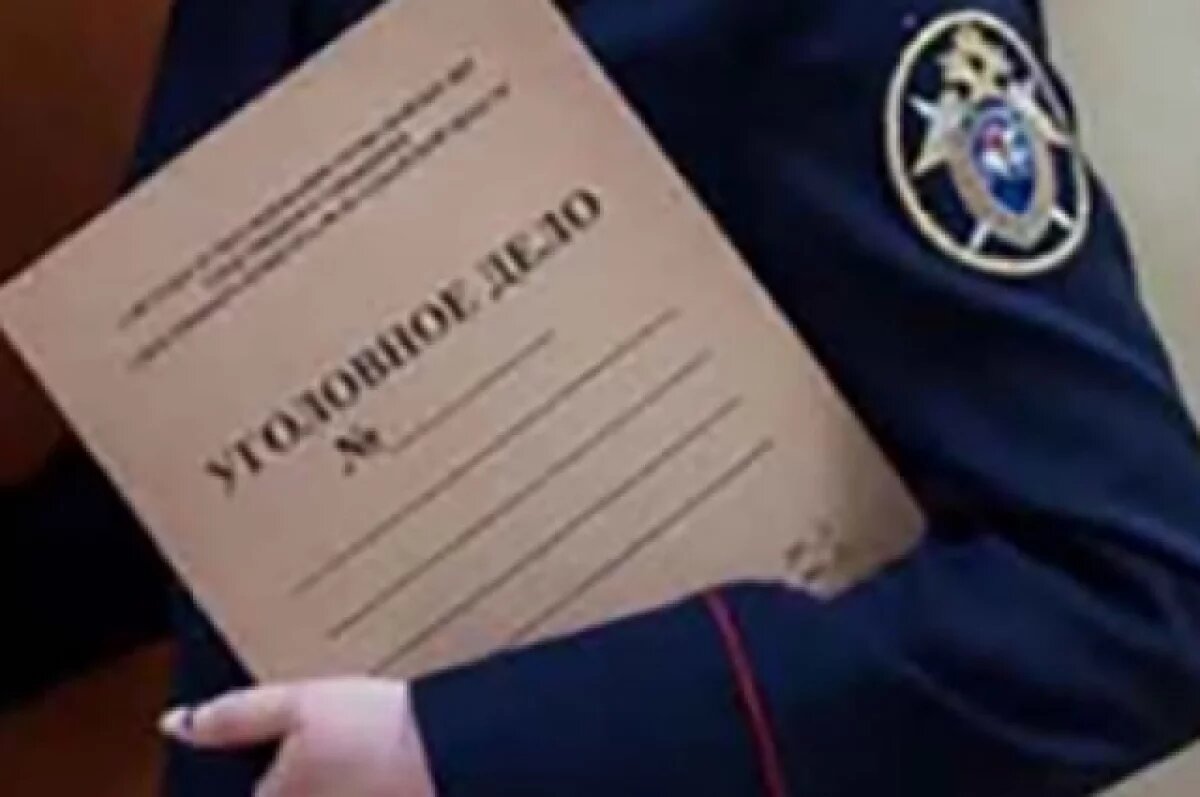    Главе СКР доложат о расследовании мошенничества с квартирой самарчанки