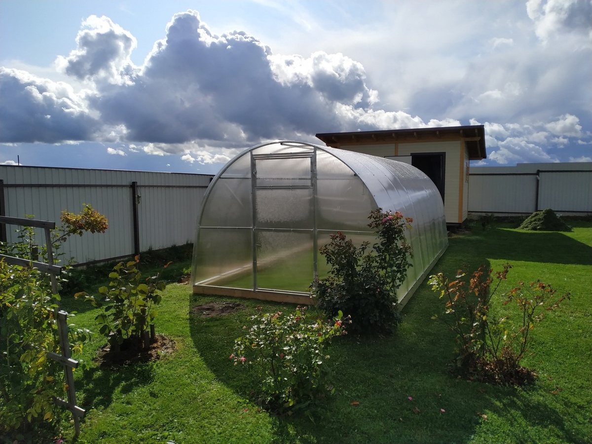 Теплицв на даче