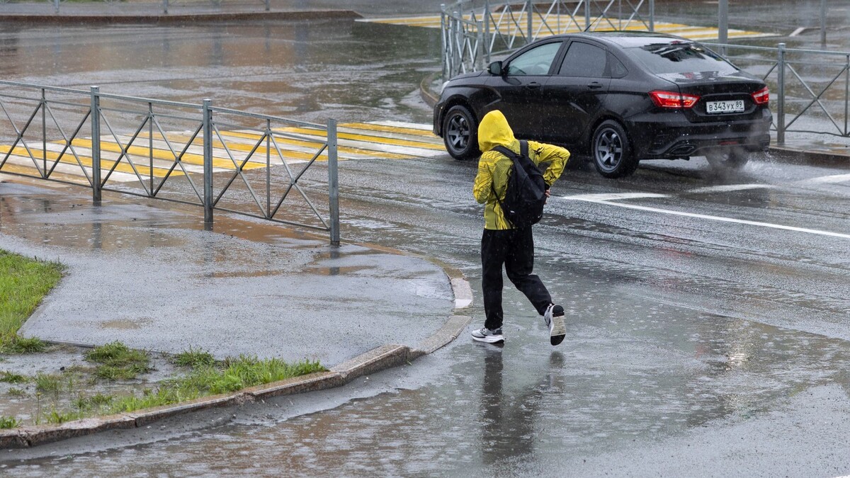    Фото: Федор Воронов / «Ямал-Медиа»