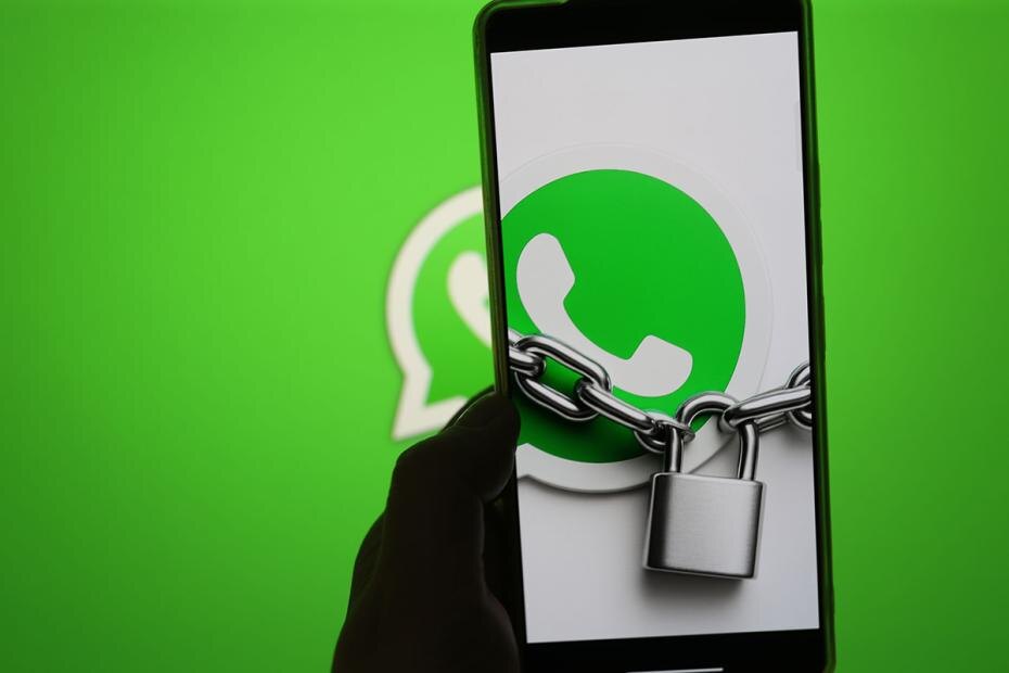    Александра Погиба/NEWS.ru