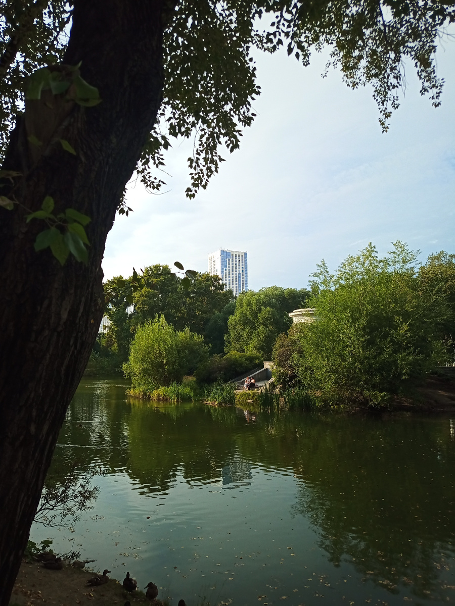 Рассказ «Деятельная натура»