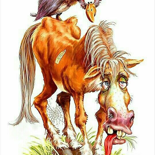 Синдром «Ломовой лошади»: как формируется привычка жить в дискомфорте