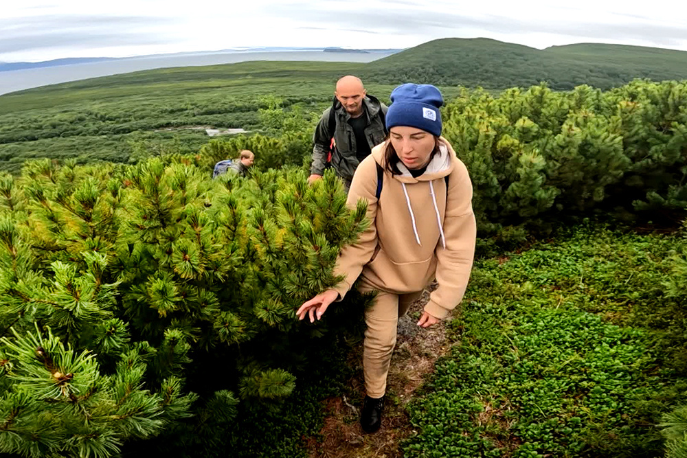    ©АО "ТВ Центр"