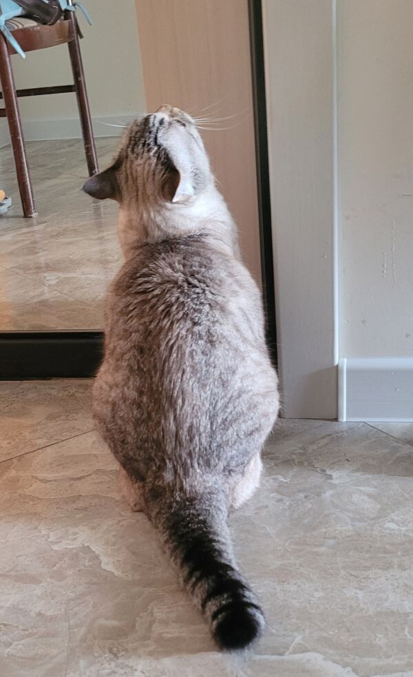 сидит. Молчит.