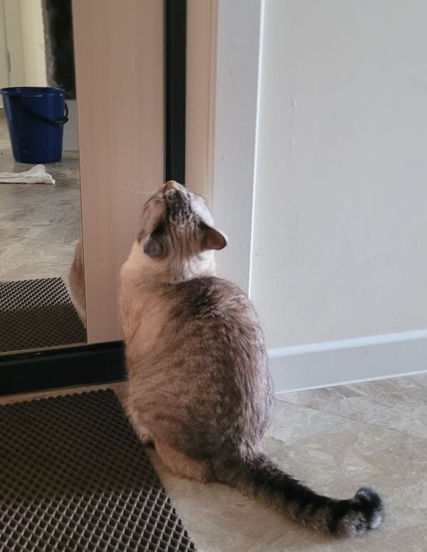 Молчит. Сидит.