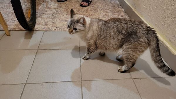 Мотя нашёл новую свободу, за что и поплатился