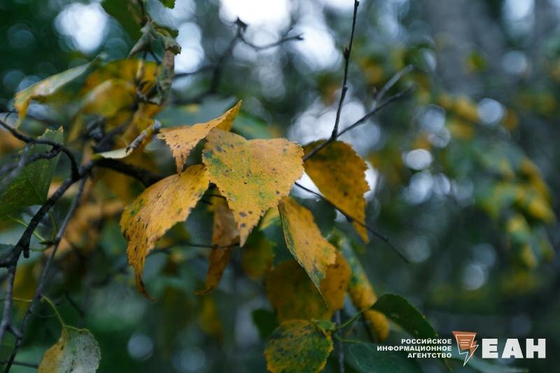    ЕАН / Архивное фото